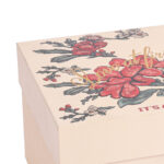 massive present box